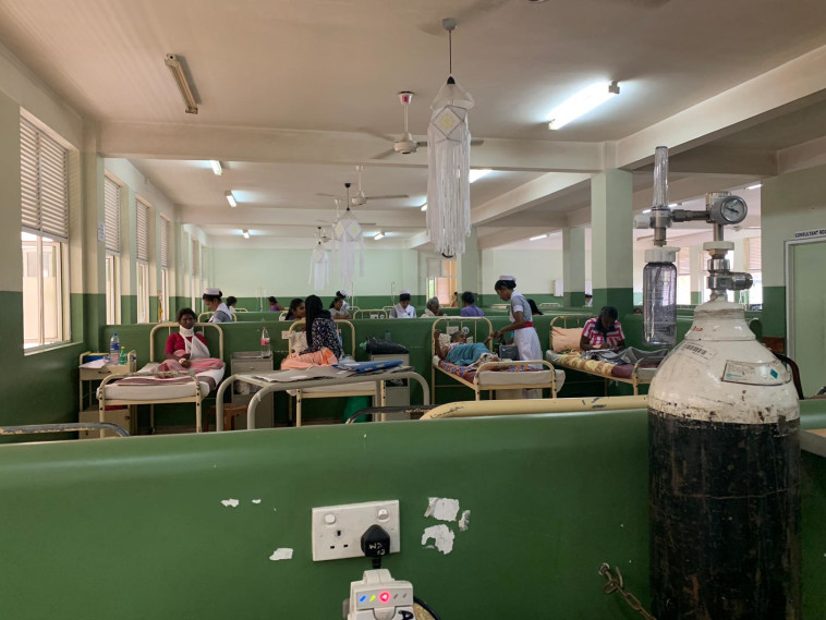 צילום: רחלי גואטה