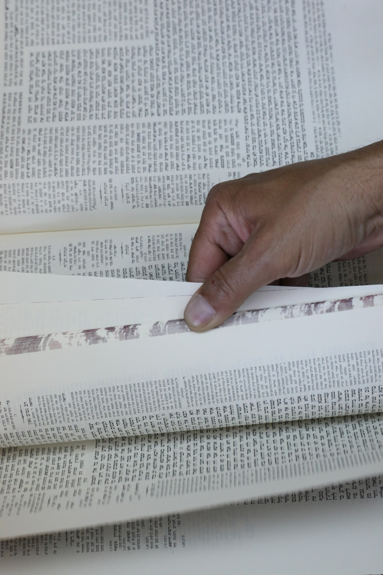 גמרא. קרדיט: מרק ישראל סלם