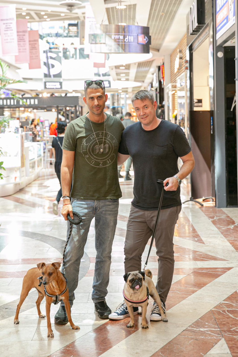 כלבים בקניון עזריאלי. צילום: יח"צ