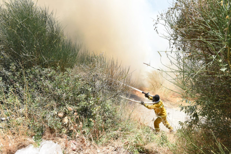 השריפה ליד ירושלים. צילום: תיעוד מבצעי כבאות והצלה לישראל