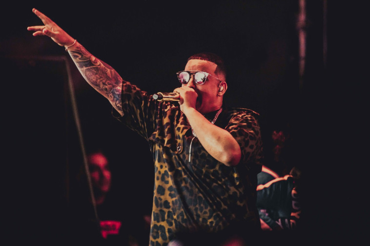 דדי יאנקי. צלם : אלון לוין 