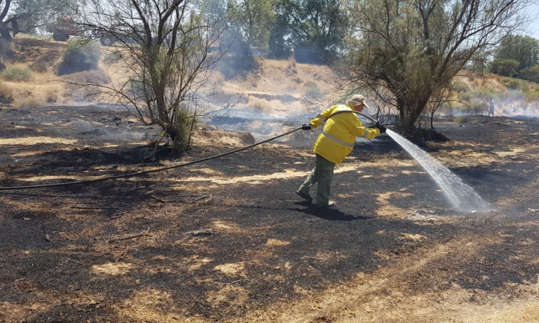 שריפה בעוטף עזה כתוצאה מבלוני תבערה. צילום: משה ברוכי, קק&quot;ל