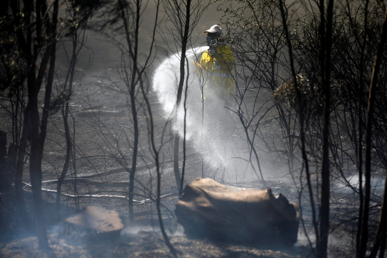 שריפה בעוטף עזה. צילום: רויטרס