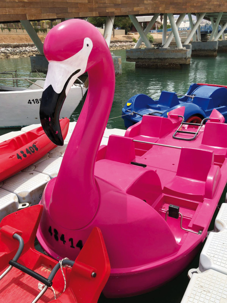 מלון אסטרל פאלמה, פעילות ימית, צילום: אסטרל.