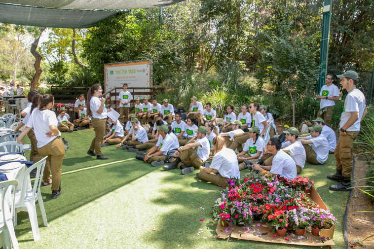 ××§××× ××¨×××× ××××××. ×§×¨×××: ×ª××¨ ×××'× ×¡×§× ××××¢× ××¨×¦× 