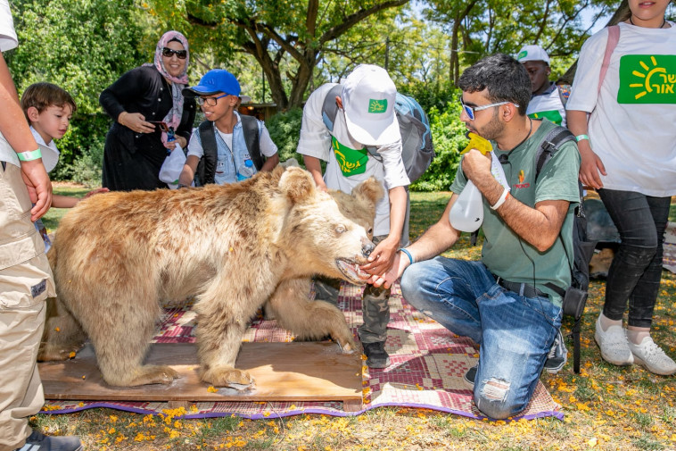  ××§××× ××¨×××× ××××××. ×§×¨×××: ×ª××¨ ×××'× ×¡×§× ××××¢× ××¨×¦× 