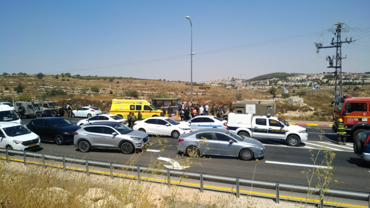 צילום: צילום: עמנואל דוטש, TPS 