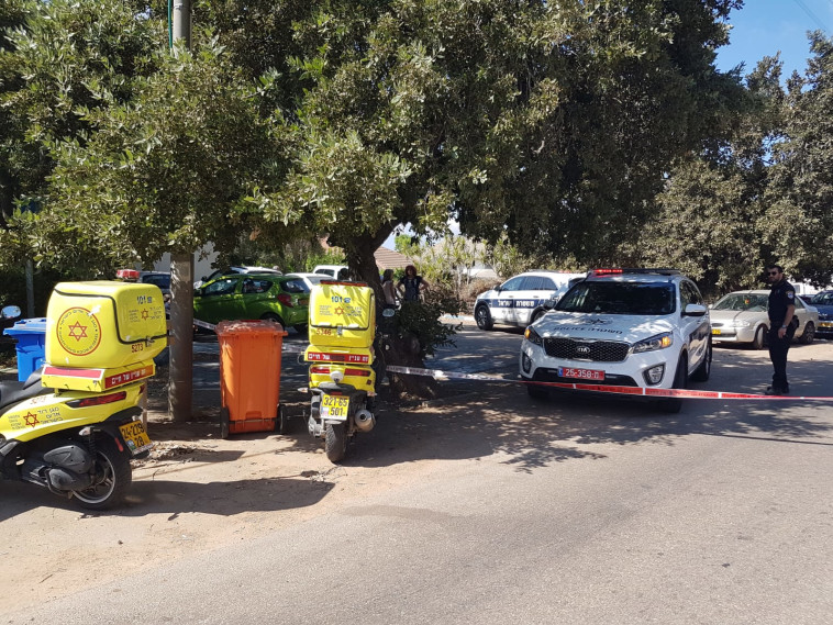 זירת האירוע בפרד חנה. צילום: צוריה זאבי/TPS