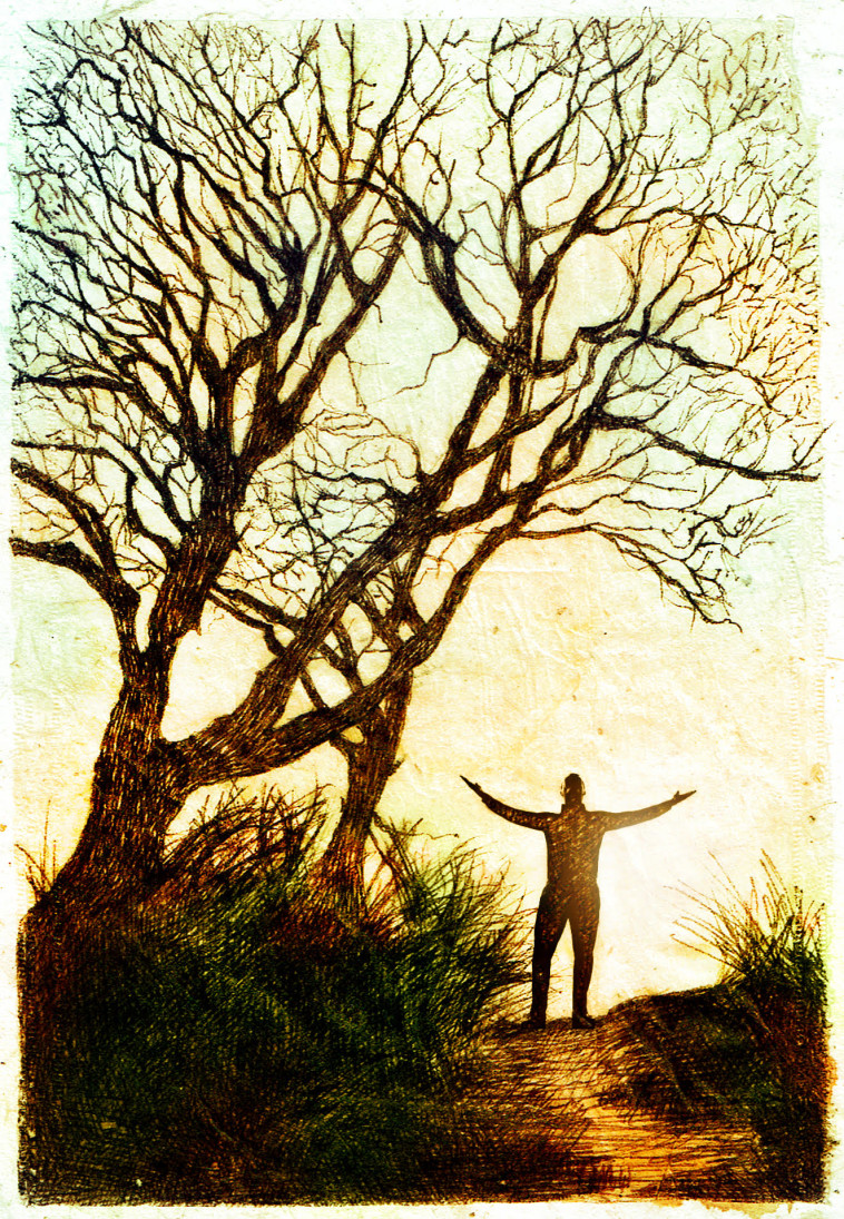 איור. נעמי ליס-מיברג 