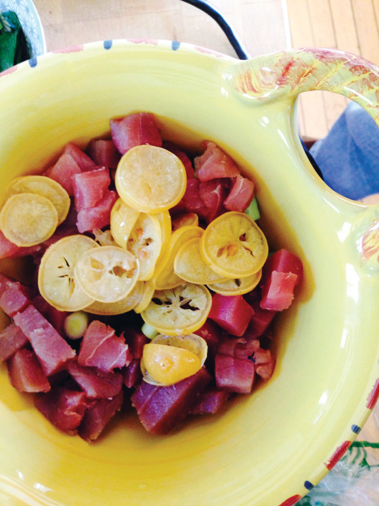 . צילום רון מיברג סביצ'ה