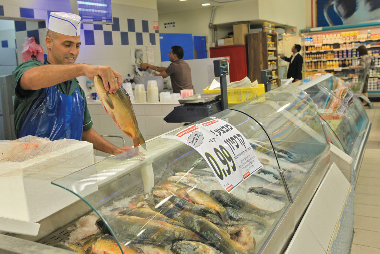 קניות דגים בסופר, ארכיון (למצולמים אין קשר לנאמר בכתבה) (צילום: נתי שוחט, פלאש 90)