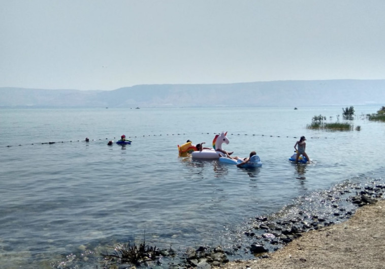 נופשים בכנרת. צילום: רשות הכנרת