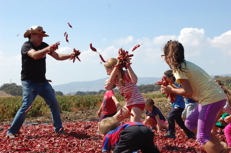 חוות דרך התבלינים. צלם : ניצן הדס