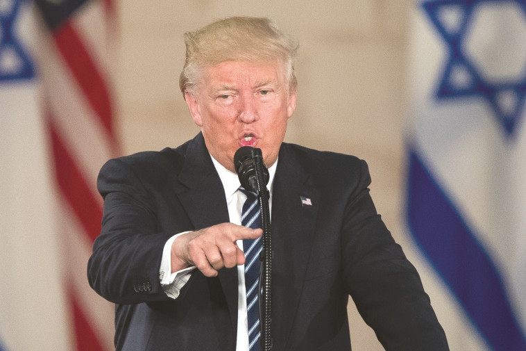 צילום: רויטרס