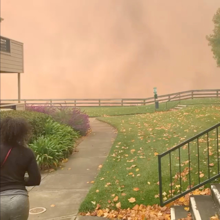 שריפה בקליפורניה. צילום: רויטרס