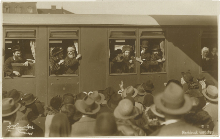 חסידות בעלז