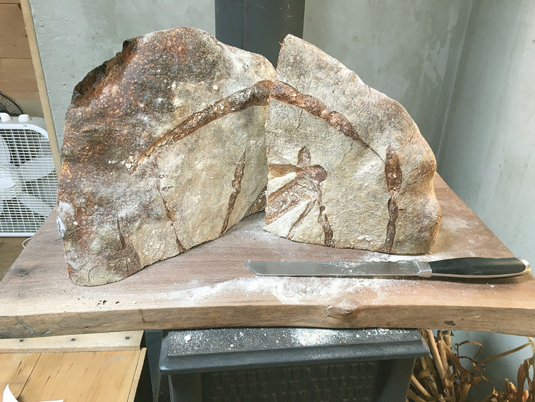 רוב העניין היה בהשלכה אנונימית עליי של עיגולי בצק דביקים. צילום: רון מיברג