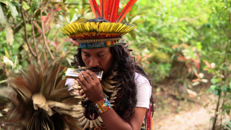 הכנה לטקס איוואסקה. מתוך הסרט: המדיסין