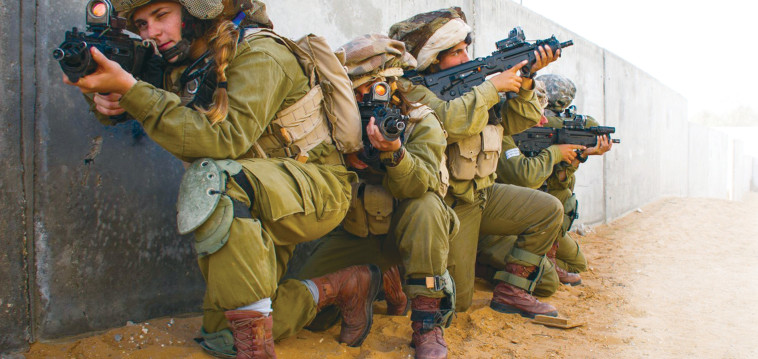 לוחמות צה''ל, אילוסטרציה