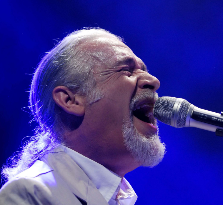 שלמה גרוניך 