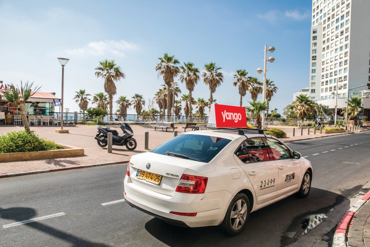 צילום:  מריה טרויאנקר   yango מוניות 