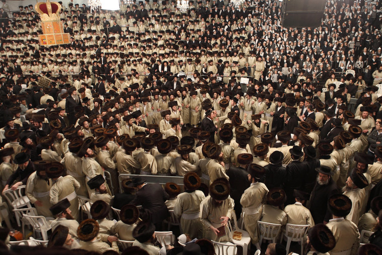 חסידות סאטמר. צילום: יעקב נחומי, פלאש 90