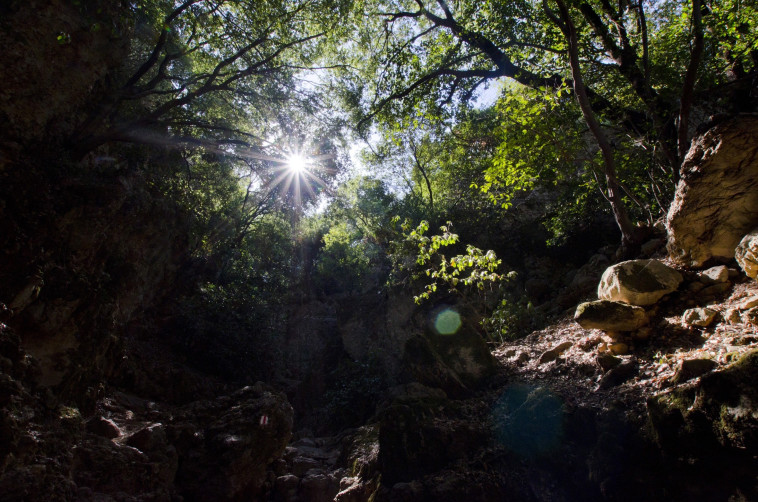 צילום: הדר יהב