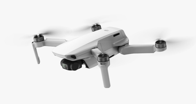 צילום: יח&quot;צ