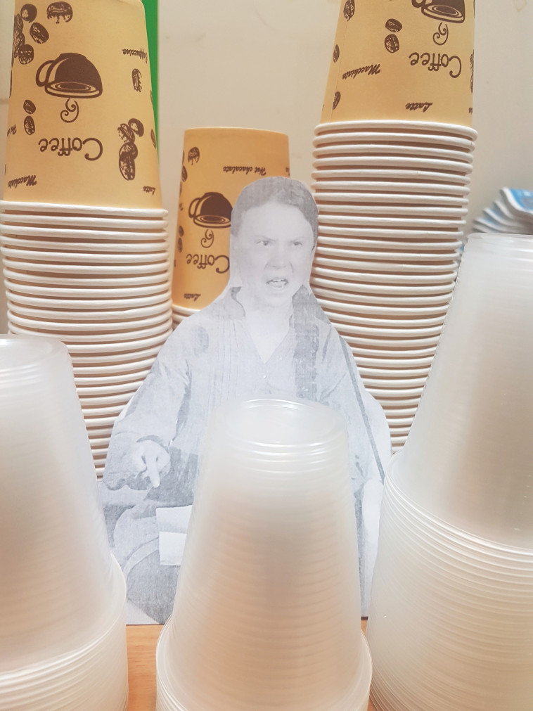 איכות הסביבה. צילום: יוסי יוסף