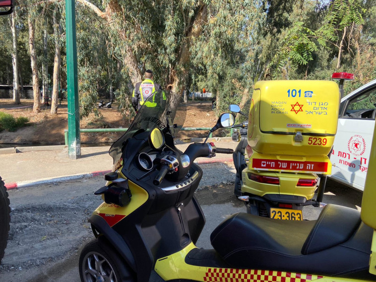 צילום: מד&quot;א