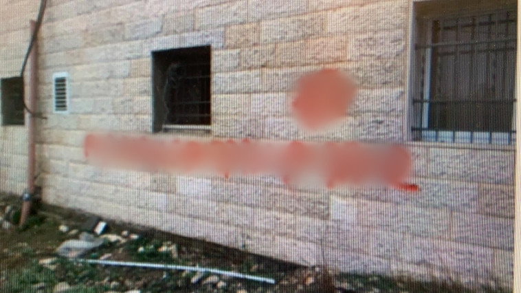 צילום: דוברות המשטרה