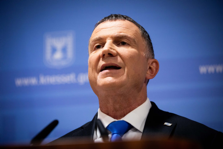 יולי אדלשטיין. צילום: יונתן זינדל, פלאש 90