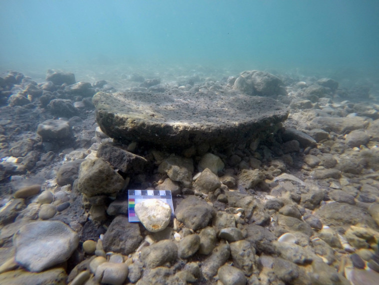 אבן לטחינה. קרדיט: ד&quot;ר אהוד גלילי