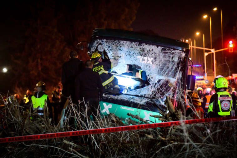 צילום: פלאש 90