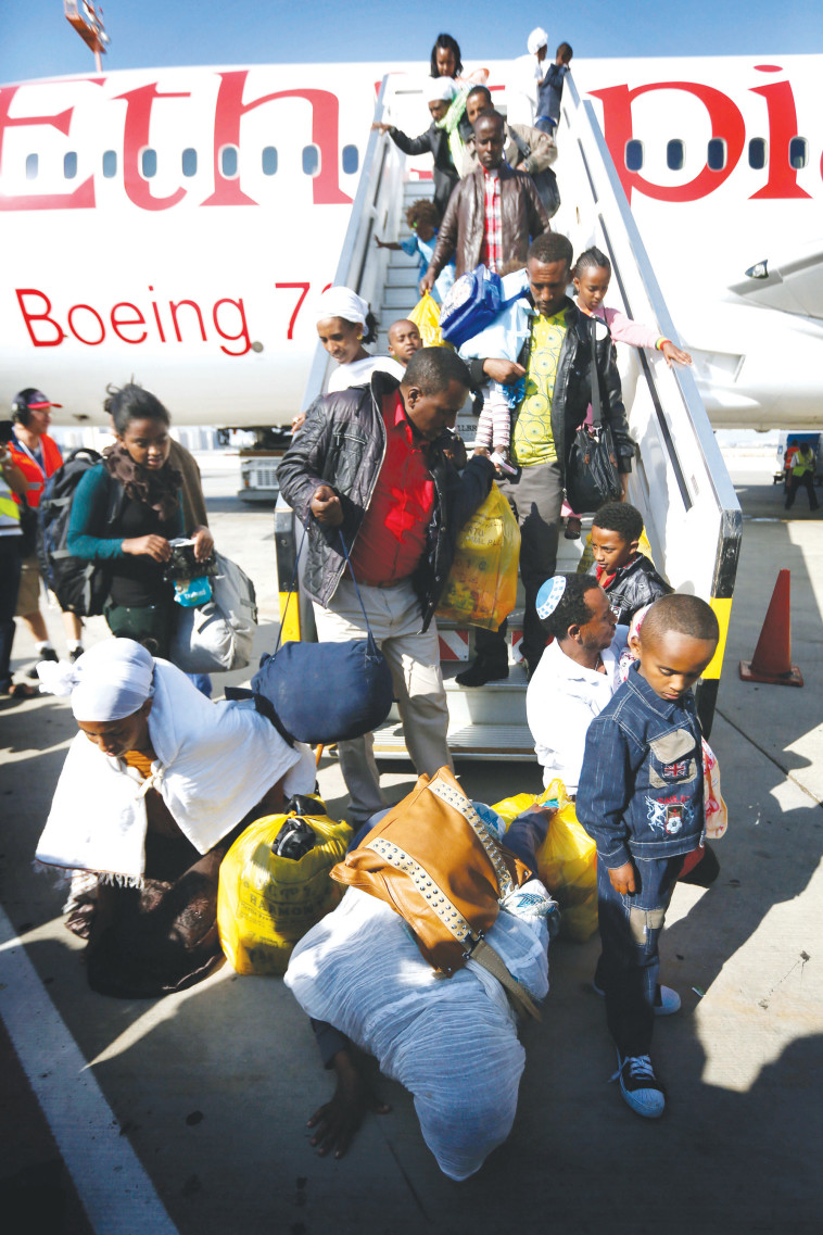 מבצע כנפי יונה, 2013. צילום: מרים אלסטר, פלאש 90