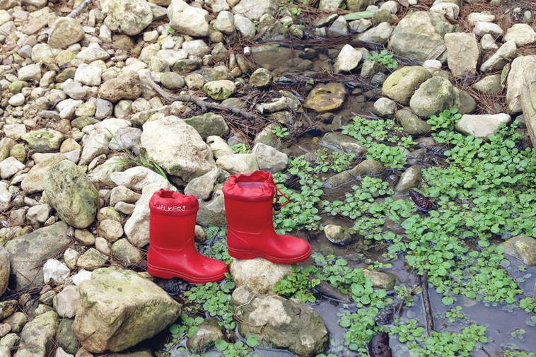 הנחלים אורן ואלון. צילום: גארי רזניקובסקי