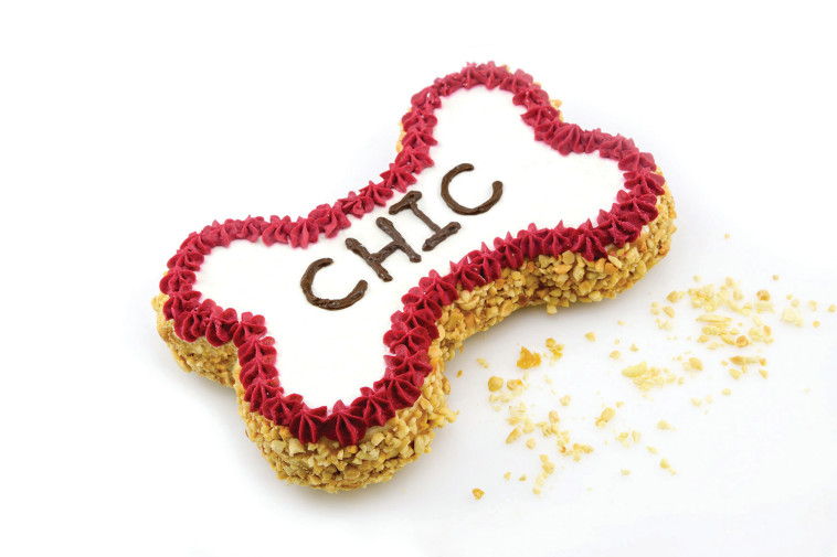 עוגה לכלב של פומרי בייקרי. צילום: חיה גולד