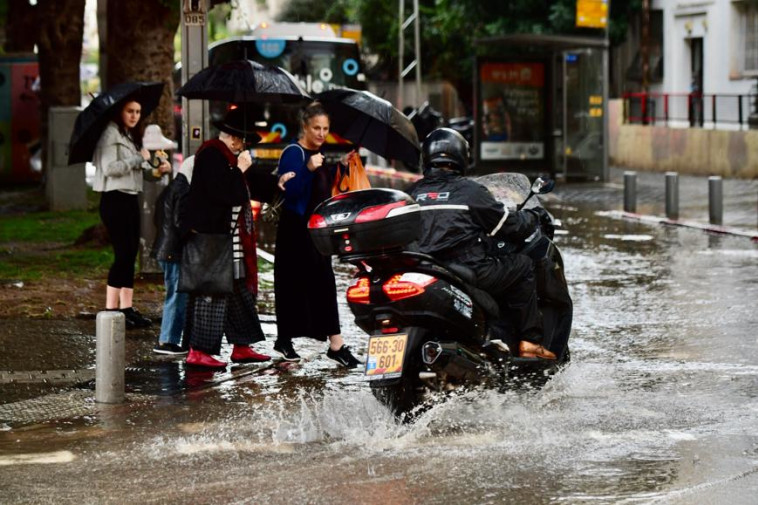 צילום: אבשלום ששוני