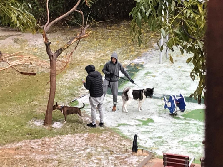 צילום: אבשלום ששוני