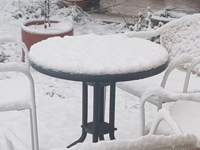 צילום: ערן גליק. באדיבות דוברות התנועה הקיבוצית