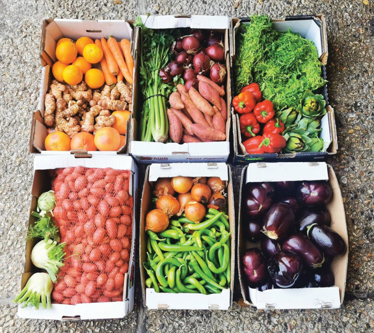 ירקות בלי פלסטיק במסעדת &quot;אייבי&quot;. צילום: פרטי