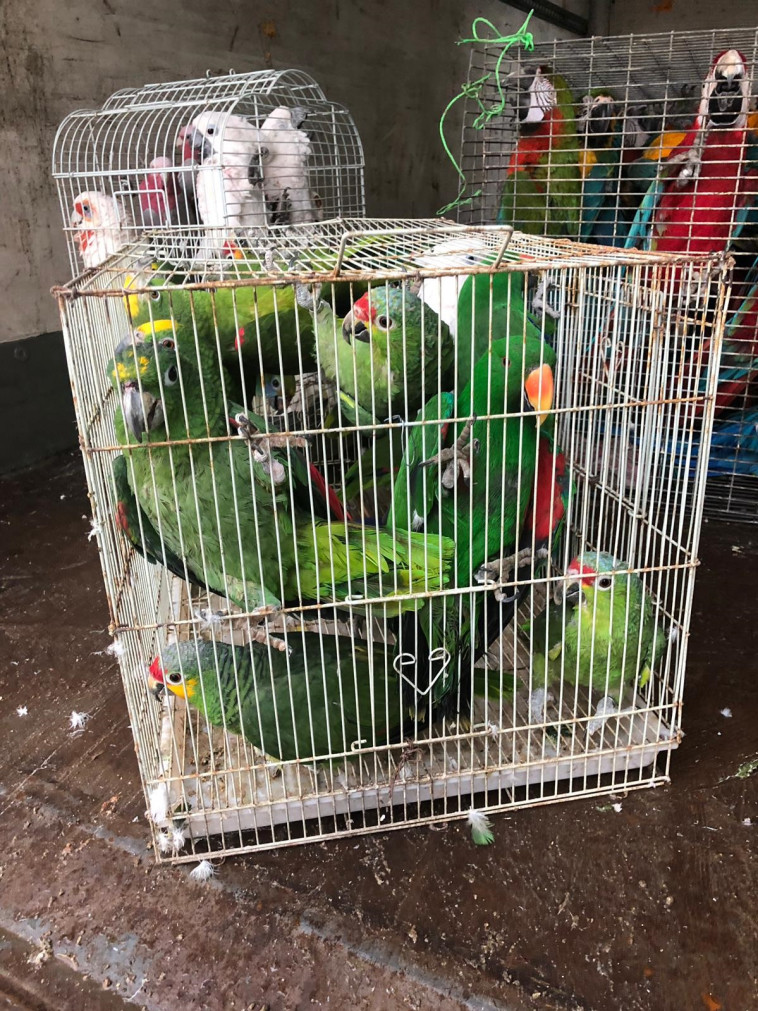 צילום: דוברות המשטרה