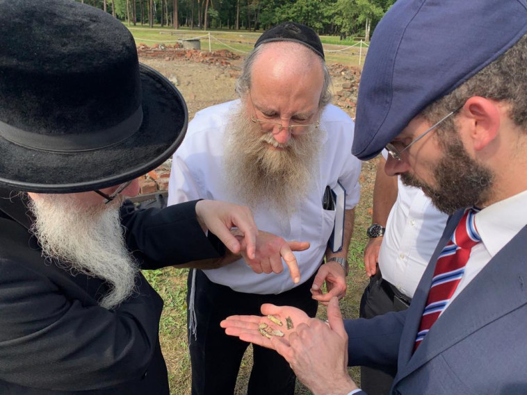 צילום: דוברות זק&quot;א