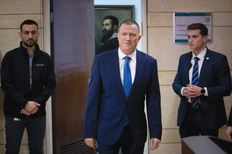 יולי אדלשטיין. צילום: יונתן זינדל/פלאש 90