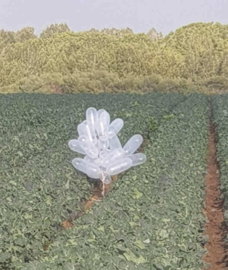 צרור בלוני נפץ בעוטף. צילום: דוברות המשטרה