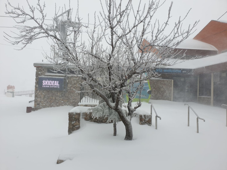 שלג בהר החרמון