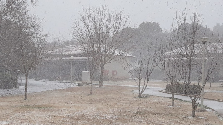 שלג בקיבוץ עין זיוון. צילום: תיירות עין זיוון