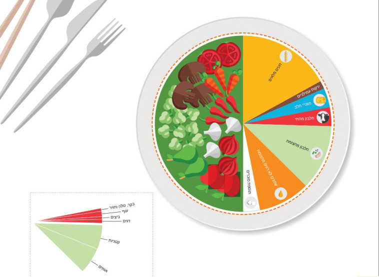 כך אמורה להיראות הצלחת שלכם. איור: EAT-LANCET