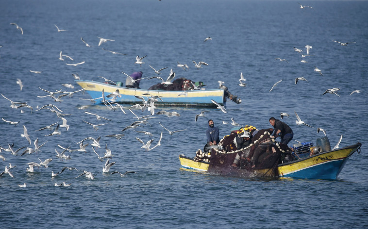 דייגים (צילום: MAHMUD HAMS/AFP via Getty Images)