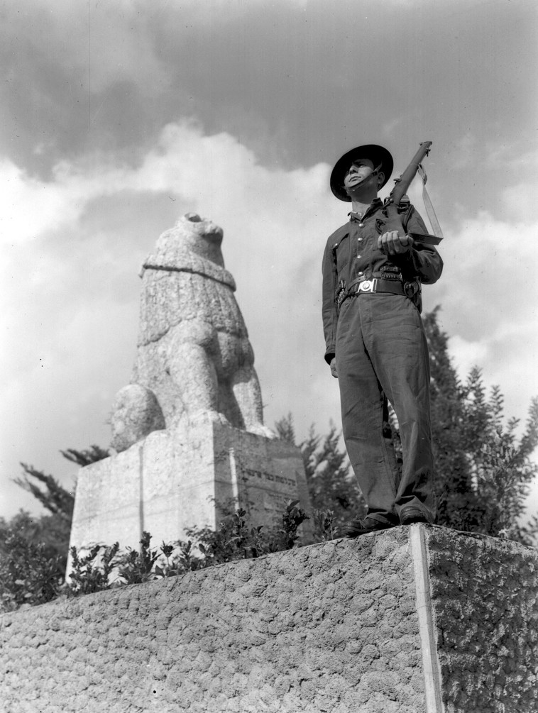 פסל האריה השואג, צילום: זולטן קלוגר